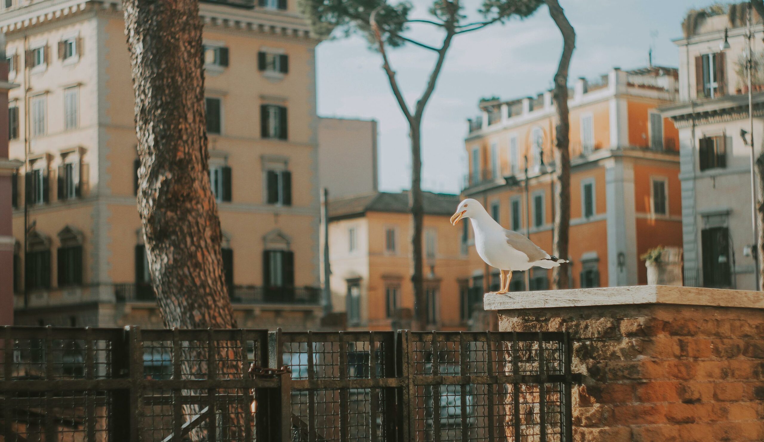 Habito suites rome